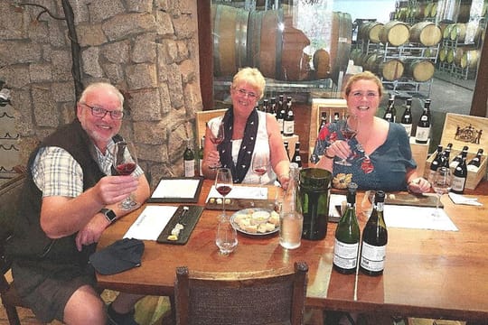 Private Half DayTour:Cape Winelands, Stellenbosch from Cape Town