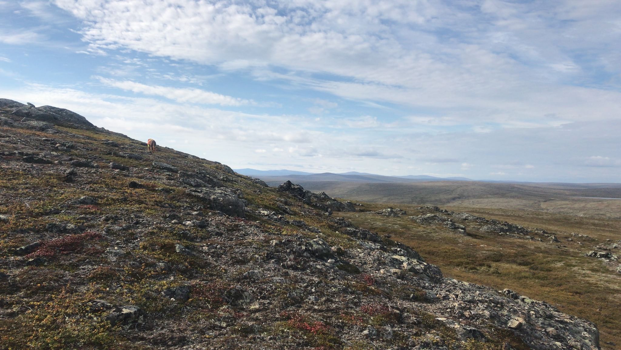 Scenery in Utsjoki wilderness is wide and open tundra.