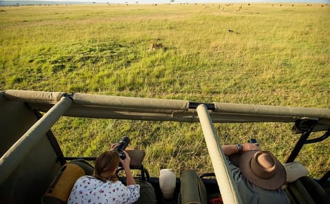 2-Day Safari Adventure in Maasai Mara from Nairobi