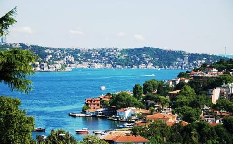 Private Airport Transfer to Arnavutköy and Pendik, Istanbul