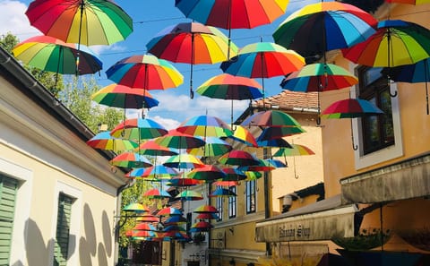 Private Full-Day Tour of the Danube Bend from Budapest