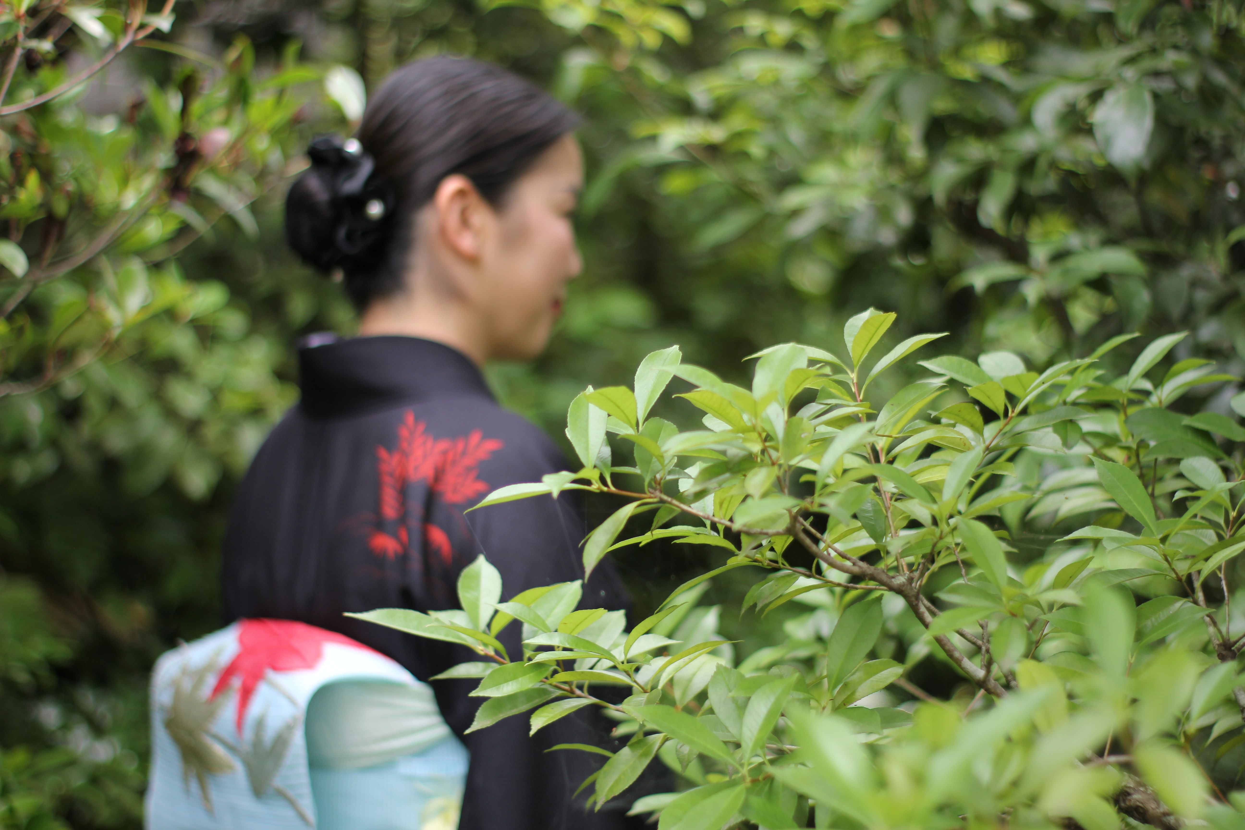 Garden Teahouse - Private Tea Ceremony (Additional Session)