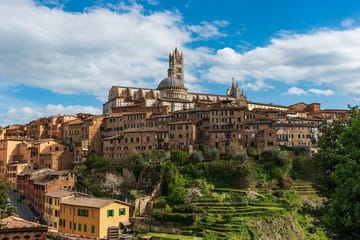 Day Trip from Pisa to Florence, San Gimignano, and Siena