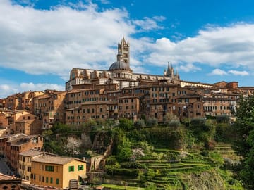 Day Trip from Pisa to Florence, San Gimignano, and Siena