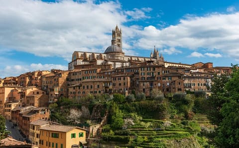 Day Trip from Pisa to Florence, San Gimignano, and Siena