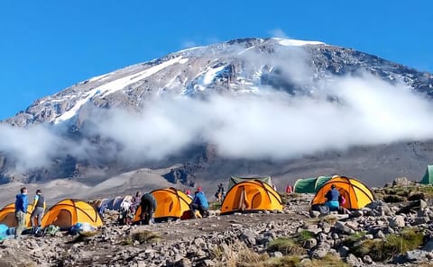 7-Day Machame Route Trekking Tour in Moshi, Tanzania