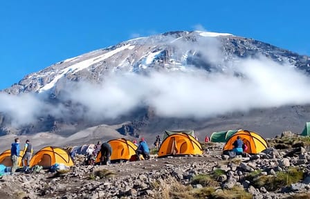7-Day Machame Route Trekking Tour in Moshi, Tanzania