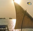 Zanzibar Sunset Dhow Cruise from Stone town with Drinks, Snacks & Music 5