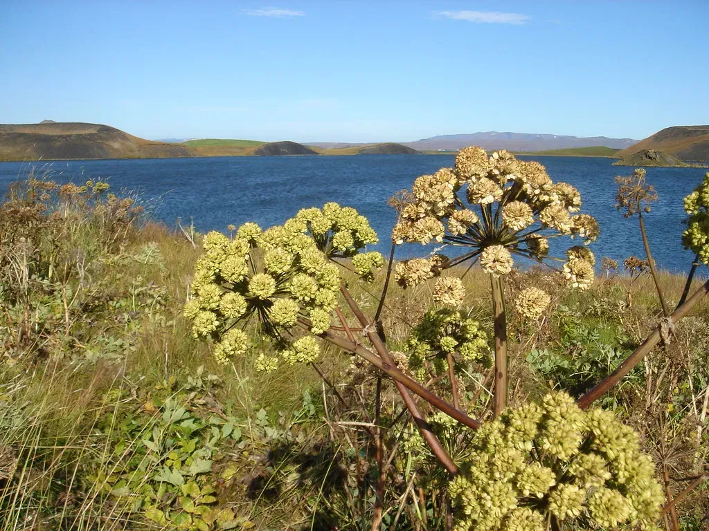 Private Diamond Circle Tour from Akureyri