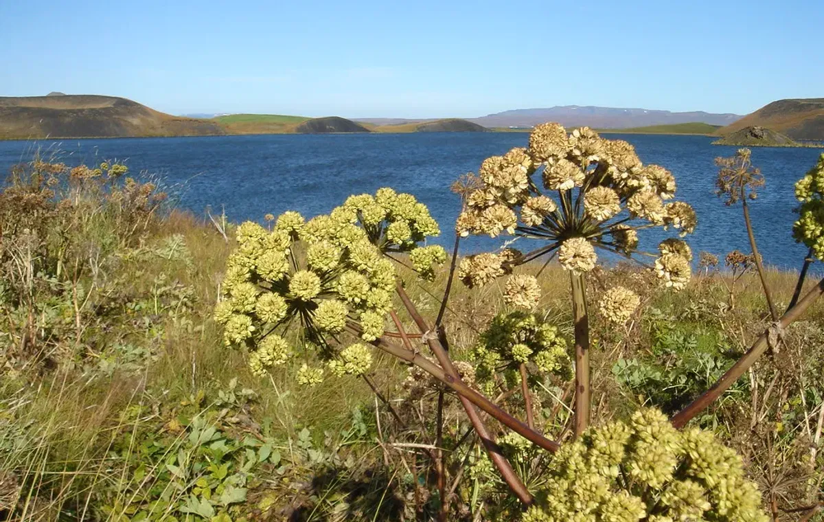 Private Diamond Circle Tour from Akureyri