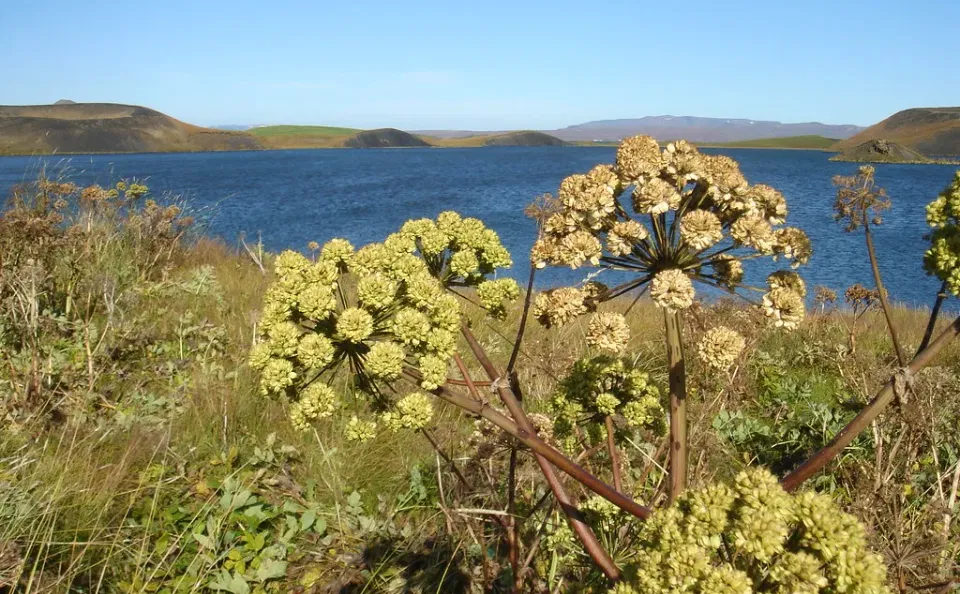 Private Day Trip to Diamond Circle from Akureyri