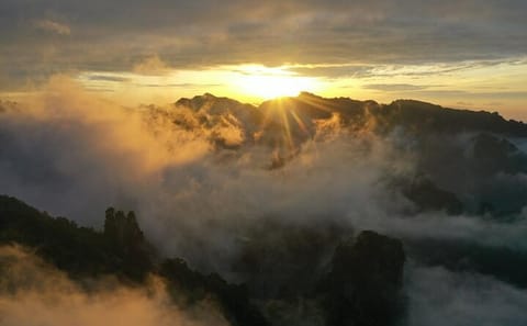 4-Day Zhangjiajie Nature Tour with VIP Lift Experience