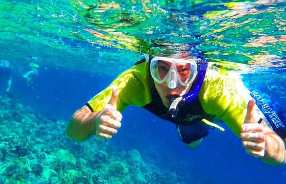 West Bay Aquarium Snorkeling, Beach, Zipline, City Tour & Transfer