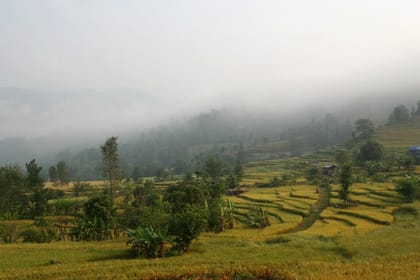 6 Days – Salang Village Pilgrimage & Homestay Hike