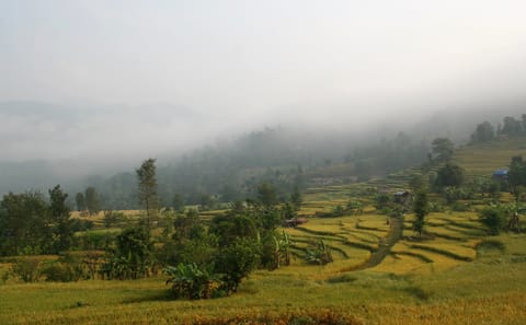 Cultural Pilgrimage and Homestay Hike in Salang Village, Nepal