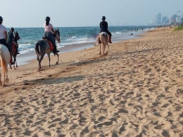 Half-Day Horseback Riding Tour in Kalpitiya, Sri Lanka