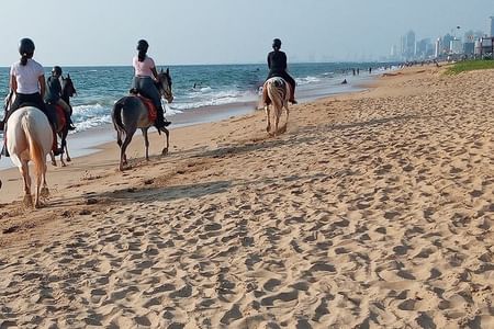 Half-Day Horse Riding in Kalpitiya