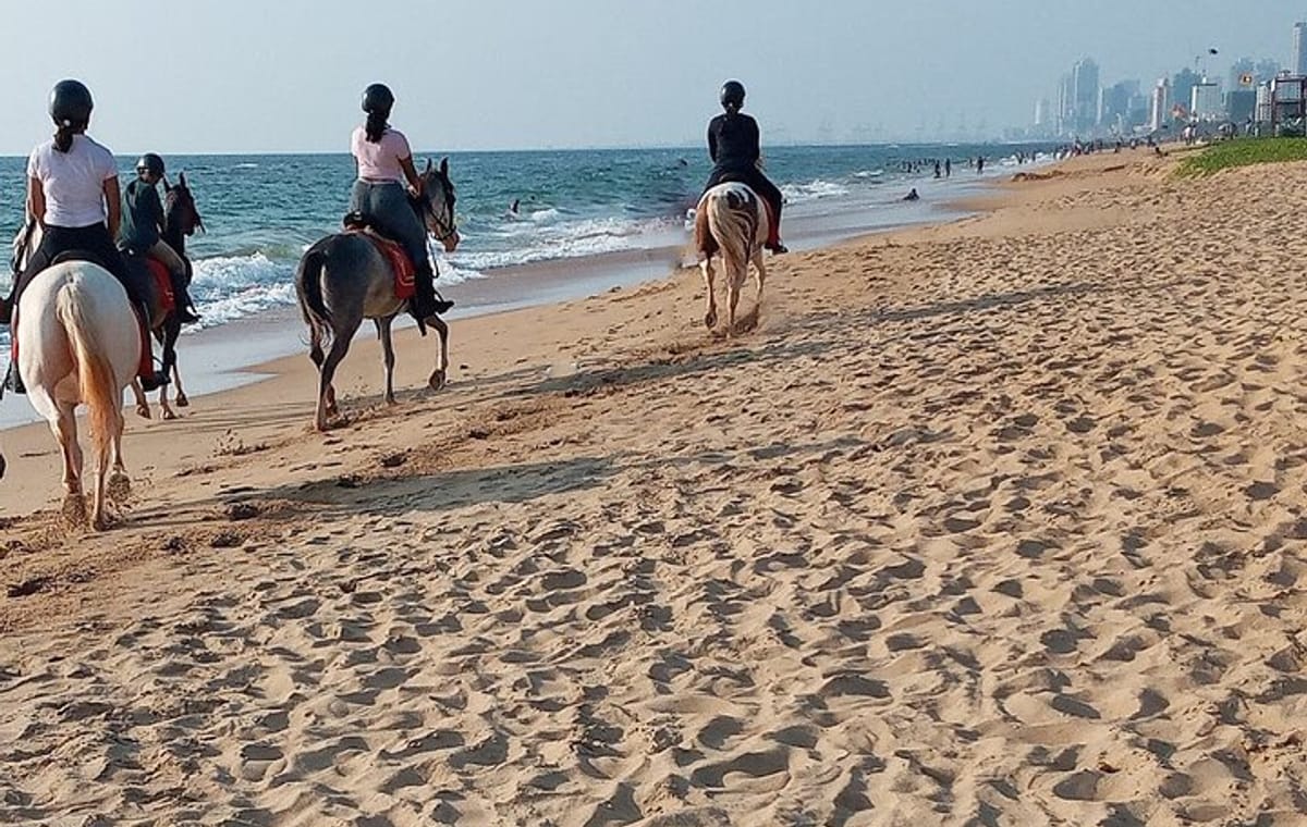 Half-Day Horse Riding in Kalpitiya