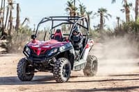 ½ Day : Buggy Adventure in Desert & Palms | Private & Luxury 7