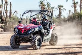½ Day : Buggy Adventure in Desert & Palms | Private & Luxury 7