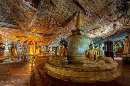 Explore the Dambulla Cave Temple and Ancient Polonnaruwa from Kandy
