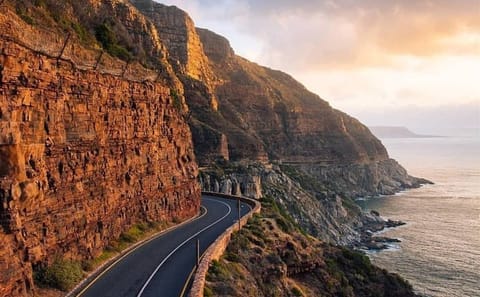 Full Day Private Tour of Cape Peninsula & Boulders Beach