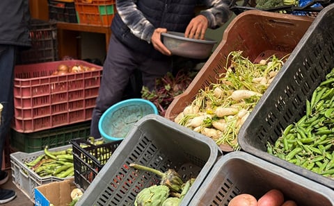 Marrakech Cooking Class and Souk Market Visit