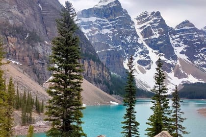 Lake Louise, Moraine Lake, Peyto Lake, Crowfoot Tour from Canmore