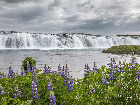 Golden Circle Private Tour with Blue Lagoon from Reykjavik, photo 36