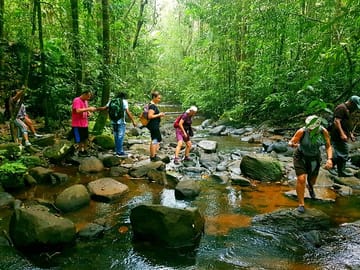 Sinharaja Rain Forest Tour from Galle with Transport
