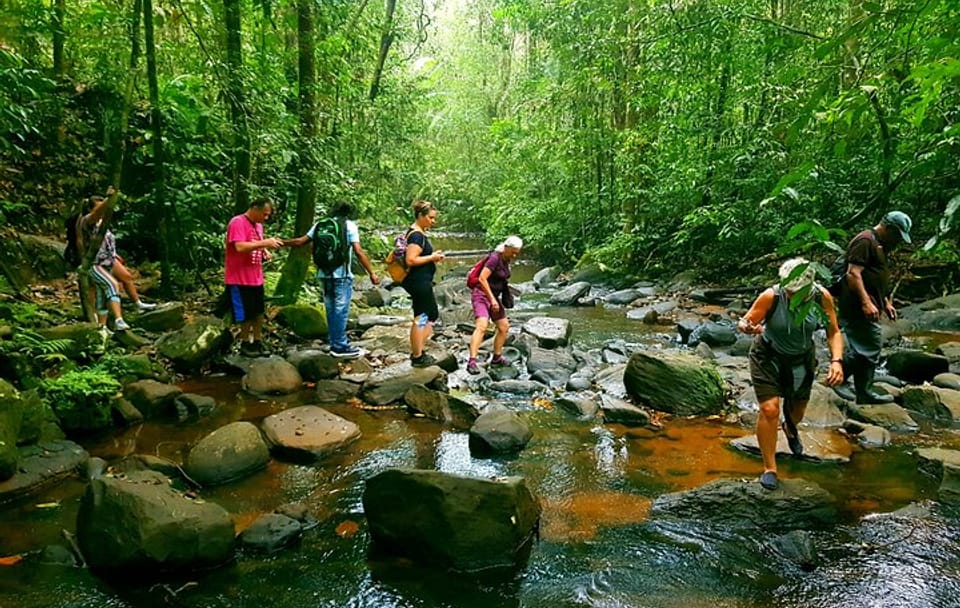 Sinharaja Rain Forest Tour from Galle with Transport