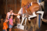 Go San Antonio Explorer Pass 5