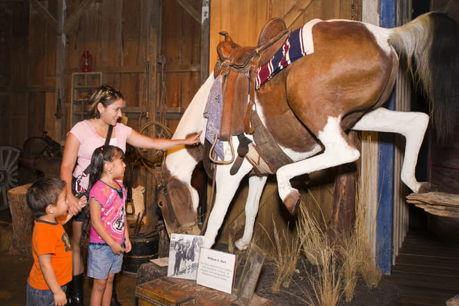 Go San Antonio Explorer Pass photo 5