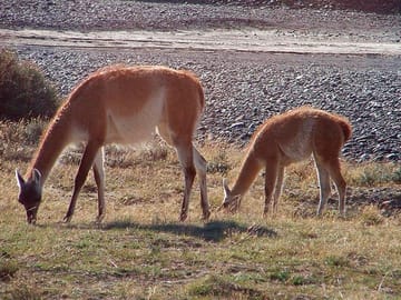 Torres del Paine National Park