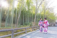 Kyoto professional vacation photographer