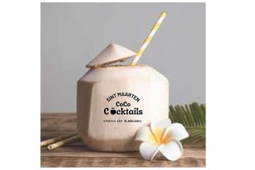 Cocktail Mixology Workshop in Philipsburg, St. Maarten