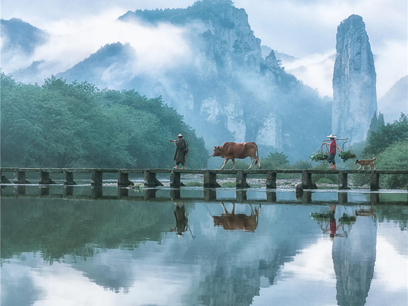 Southern Zhejiang Slow Travel 3-Day Tour: 2 Nights in Painted Canvas Village, Yunhe Terraces & Songyang