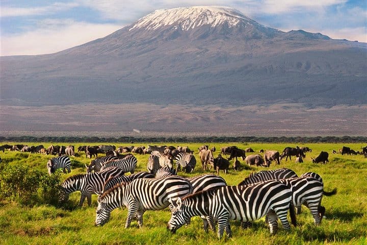 Kenya's Triple Crown: A 6-Day Budget Safari to Masai Mara, Nakuru & Amboseli