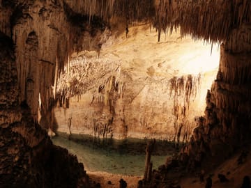 Customizable Private Modern Dubai Tour with Professional Guide
