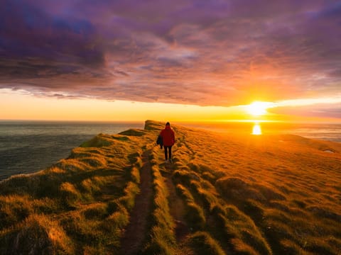 6 Day - South Coast, Glacier Experience & Wild Westfjords