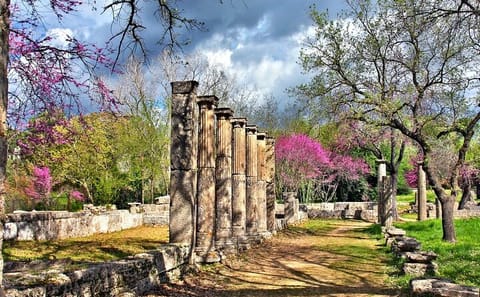 Private Tour of Ancient Olympia with Bee Farm and Winery Visit