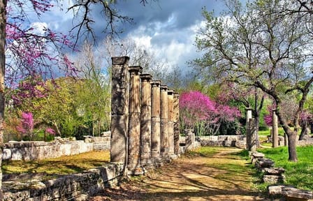 Private Tour of Ancient Olympia with Bee Farm and Winery Visit