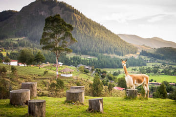 Cultural and Nature Tour of Combayo and Sangal Canyon, Cajamarca