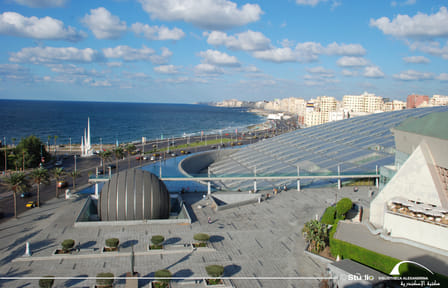 Explore Alexandria: Bibliotheca and Montazah Gardens Tour