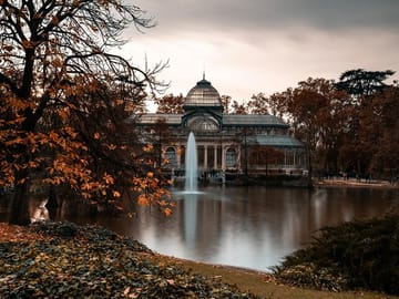 Professional Photography Session in Madrid's Retiro Park