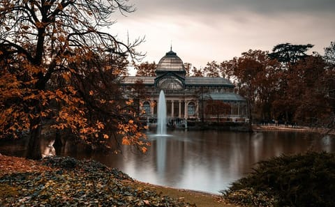 Professional Photography Session in Madrid's Retiro Park