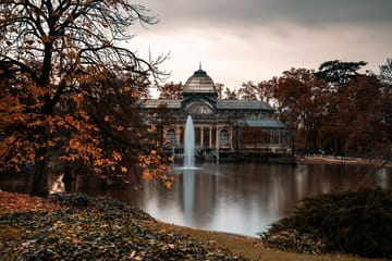 Professional Photography Session in Madrid's Retiro Park