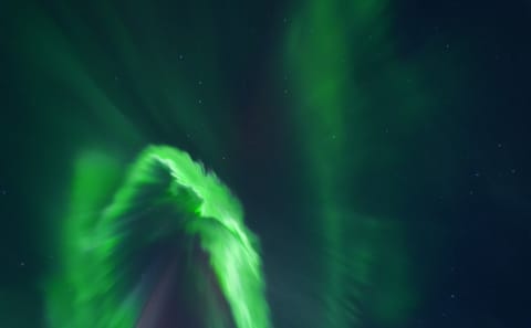 Northern Lights Minibus Tour to Abisko National Park, Kiruna