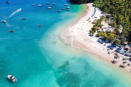 Explore the Enchanting Playa Tortuga with Lunch from San José