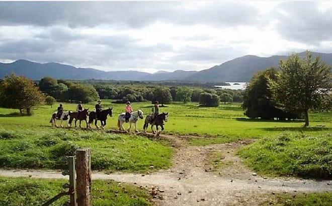 Killarney National Park horseback ride. Kerry. Guided. 2 hours. 6